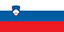 Country flag Slovenia